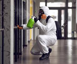 Biohazard Mold Removal in Big Lake, TX